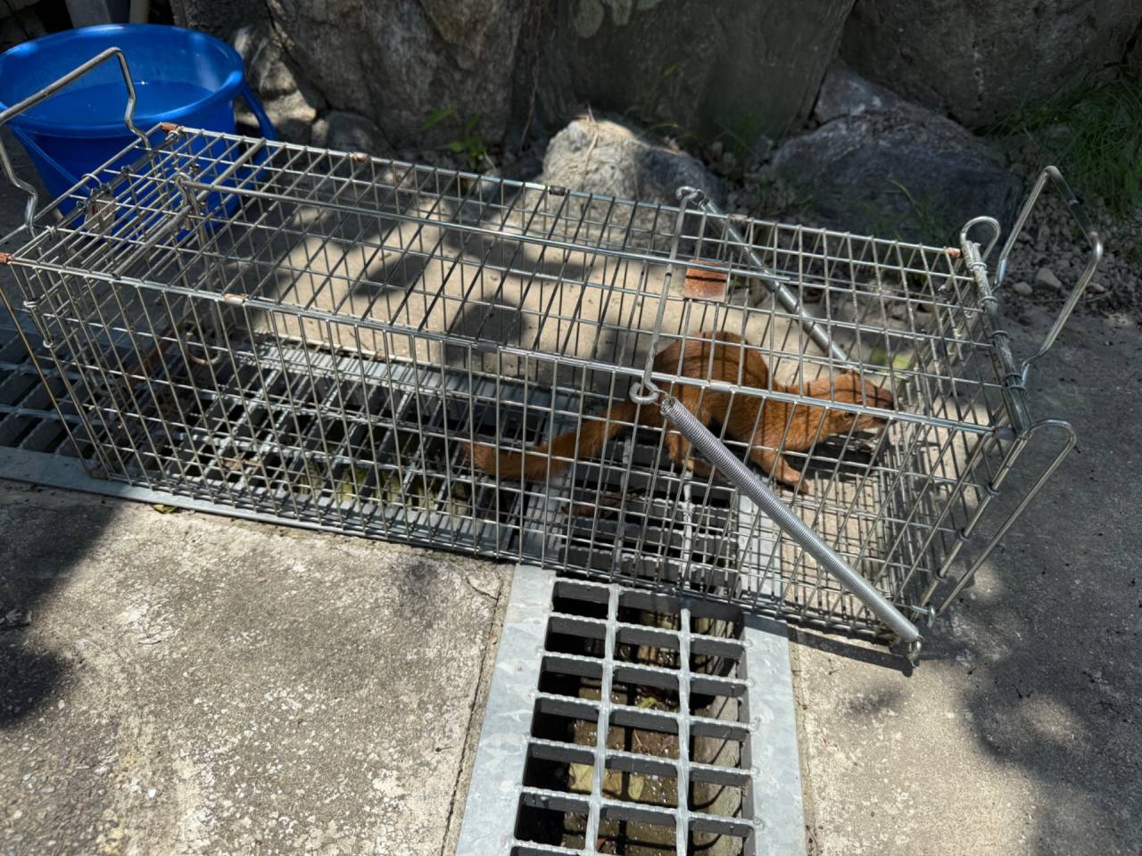 徳島住研サービス