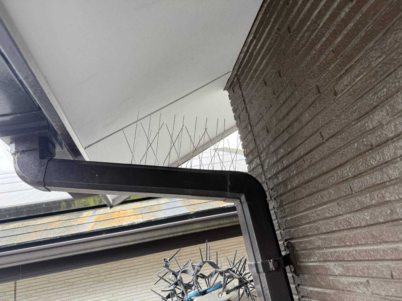 徳島県藍住町で鳩対策（鳩よけピン）