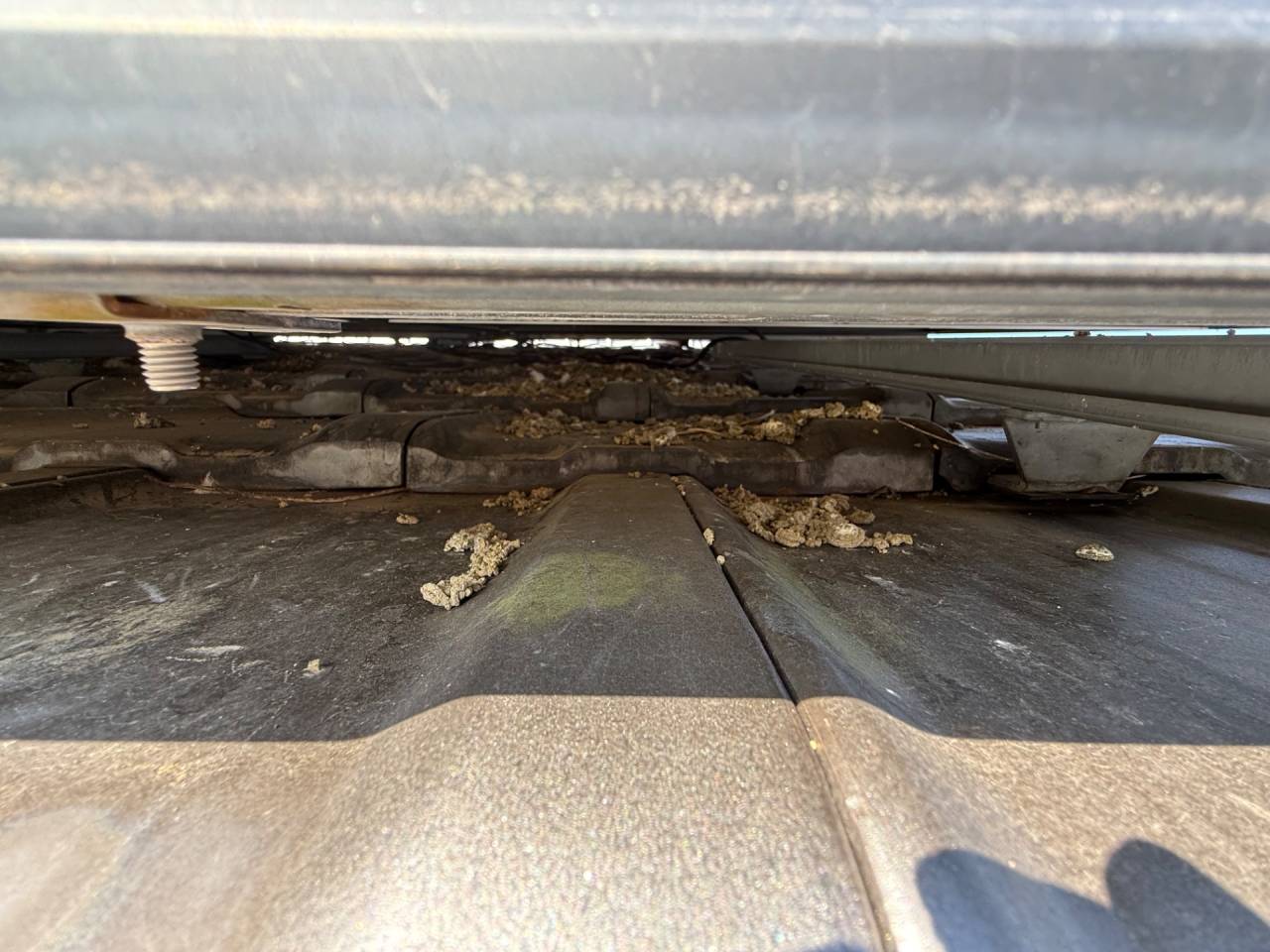 徳島市で太陽光パネルの鳩駆除