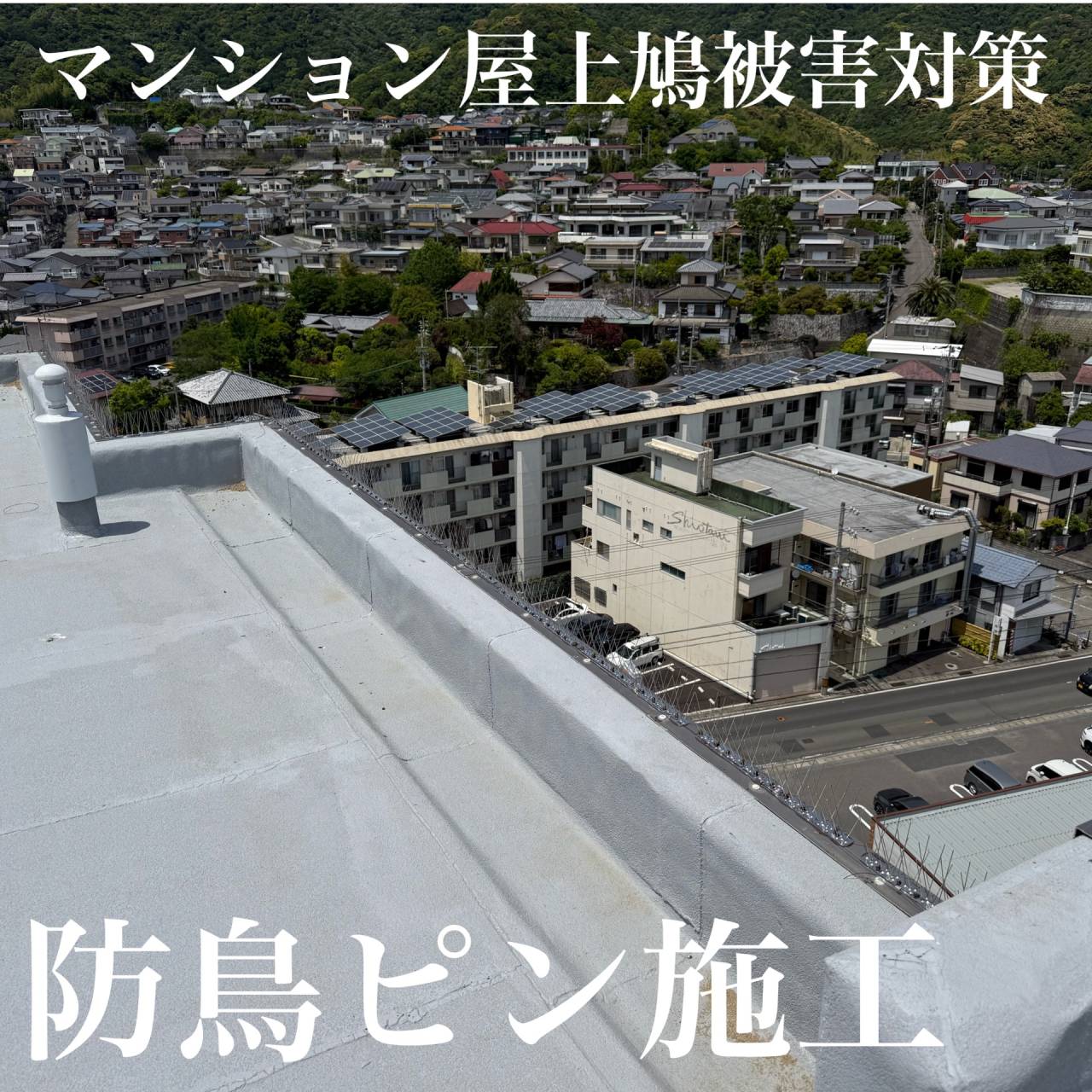 徳島市某マンションにて鳩被害対策（防鳥ピン）