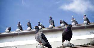 徳島住研サービス