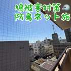 徳島市鳩被害対策（鳩よけネット）