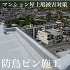 徳島市某マンションにて鳩被害対策（防鳥ピン）